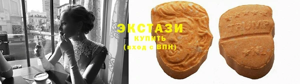 прущие грибы Коряжма