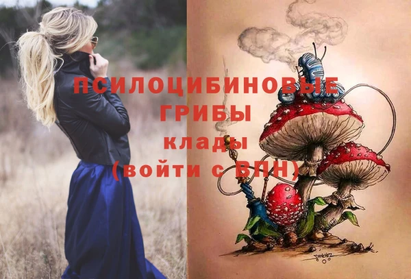mdpv Бугульма