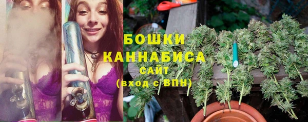 бошки Бородино