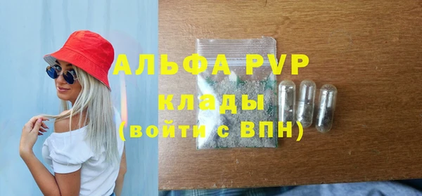 бошки Бородино