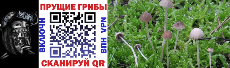 Галлюциногенные грибы ЛСД  Гуково 